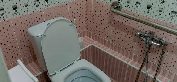 Meeting Diverse Needs With Accessible Restroom Solutions in Urbana, IL